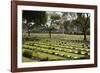 Kanchanaburi War War 2 Cemetery, Kanchanaburi, Central Thailand, Thailand, Southeast Asia, Asia-Stuart Black-Framed Photographic Print