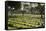 Kanchanaburi War War 2 Cemetery, Kanchanaburi, Central Thailand, Thailand, Southeast Asia, Asia-Stuart Black-Framed Stretched Canvas