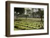 Kanchanaburi War War 2 Cemetery, Kanchanaburi, Central Thailand, Thailand, Southeast Asia, Asia-Stuart Black-Framed Photographic Print