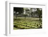 Kanchanaburi War War 2 Cemetery, Kanchanaburi, Central Thailand, Thailand, Southeast Asia, Asia-Stuart Black-Framed Photographic Print