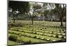 Kanchanaburi War War 2 Cemetery, Kanchanaburi, Central Thailand, Thailand, Southeast Asia, Asia-Stuart Black-Mounted Photographic Print