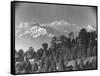 Kanchenjunga Mountain-null-Framed Stretched Canvas