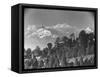 Kanchenjunga Mountain-null-Framed Stretched Canvas