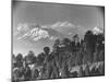 Kanchenjunga Mountain-null-Mounted Photographic Print