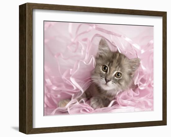 Kandie-Rachael Hale-Framed Art Print