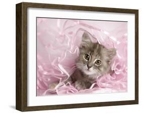 Kandie-Rachael Hale-Framed Art Print