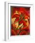 Kandinsky's Day Lily-John Newcomb-Framed Giclee Print