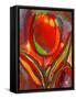 Kandinsky's Prize Tulip-John Newcomb-Framed Stretched Canvas