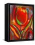 Kandinsky's Prize Tulip-John Newcomb-Framed Stretched Canvas