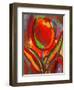 Kandinsky's Prize Tulip-John Newcomb-Framed Giclee Print
