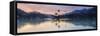 Kandy Lake and the Island at Sunrise, Kandy, Central Province, Sri Lanka, Asia-Matthew Williams-Ellis-Framed Stretched Canvas