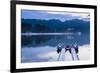 Kandy Lake and the Temple of the Sacred Tooth Relic (Sri Dalada Maligawa) at Night-Matthew Williams-Ellis-Framed Photographic Print