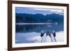 Kandy Lake and the Temple of the Sacred Tooth Relic (Sri Dalada Maligawa) at Night-Matthew Williams-Ellis-Framed Photographic Print