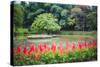 Kandy Royal Botanical Gardens at Peradeniya, Kandy, Sri Lanka, Asia-Matthew Williams-Ellis-Stretched Canvas