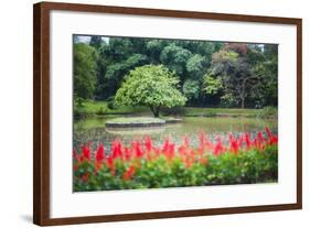 Kandy Royal Botanical Gardens at Peradeniya, Kandy, Sri Lanka, Asia-Matthew Williams-Ellis-Framed Photographic Print