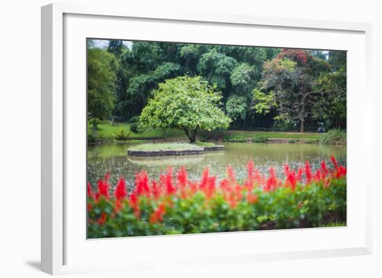 Kandy Royal Botanical Gardens at Peradeniya, Kandy, Sri Lanka, Asia-Matthew Williams-Ellis-Framed Photographic Print