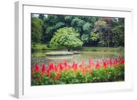 Kandy Royal Botanical Gardens at Peradeniya, Kandy, Sri Lanka, Asia-Matthew Williams-Ellis-Framed Photographic Print