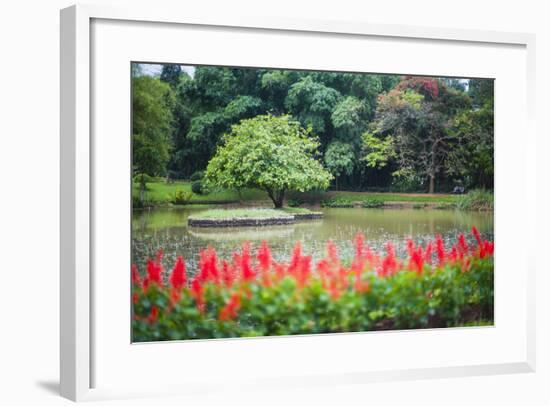 Kandy Royal Botanical Gardens at Peradeniya, Kandy, Sri Lanka, Asia-Matthew Williams-Ellis-Framed Photographic Print