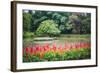 Kandy Royal Botanical Gardens at Peradeniya, Kandy, Sri Lanka, Asia-Matthew Williams-Ellis-Framed Photographic Print