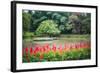 Kandy Royal Botanical Gardens at Peradeniya, Kandy, Sri Lanka, Asia-Matthew Williams-Ellis-Framed Photographic Print