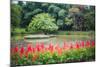 Kandy Royal Botanical Gardens at Peradeniya, Kandy, Sri Lanka, Asia-Matthew Williams-Ellis-Mounted Photographic Print