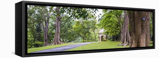 Kandy Royal Botanical Gardens, Peradeniya, Kandy, Sri Lanka, Asia-Matthew Williams-Ellis-Framed Stretched Canvas