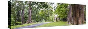 Kandy Royal Botanical Gardens, Peradeniya, Kandy, Sri Lanka, Asia-Matthew Williams-Ellis-Stretched Canvas