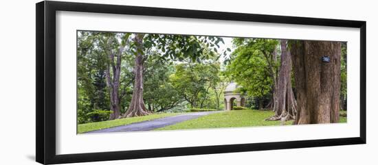 Kandy Royal Botanical Gardens, Peradeniya, Kandy, Sri Lanka, Asia-Matthew Williams-Ellis-Framed Photographic Print