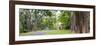 Kandy Royal Botanical Gardens, Peradeniya, Kandy, Sri Lanka, Asia-Matthew Williams-Ellis-Framed Photographic Print