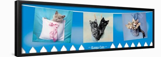 Kanga-Cats-Rachael Hale-Framed Poster