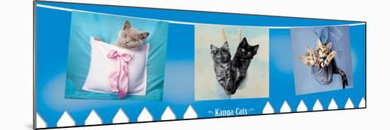 Kanga-Cats-Rachael Hale-Mounted Poster