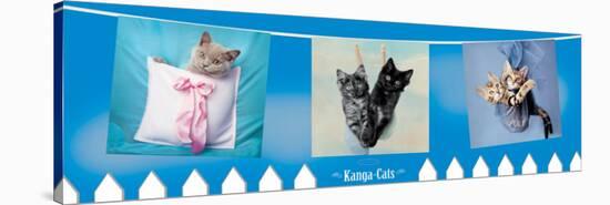 Kanga Cats-Rachael Hale-Stretched Canvas