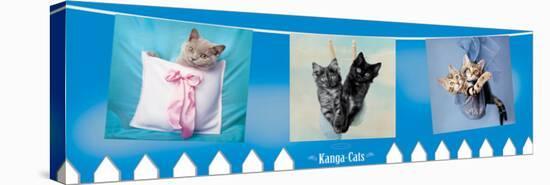 Kanga Cats-Rachael Hale-Stretched Canvas