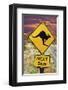 Kangaroo 5Km Olgas Rock Outback-null-Framed Art Print