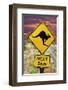 Kangaroo 5Km Olgas Rock Outback-null-Framed Art Print