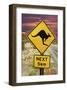 Kangaroo 5Km Olgas Rock Outback-null-Framed Art Print