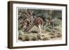 Kangaroo by Alfred Edmund Brehm-Stefano Bianchetti-Framed Premium Giclee Print