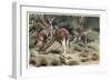 Kangaroo by Alfred Edmund Brehm-Stefano Bianchetti-Framed Premium Giclee Print