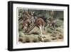 Kangaroo by Alfred Edmund Brehm-Stefano Bianchetti-Framed Giclee Print