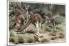 Kangaroo by Alfred Edmund Brehm-Stefano Bianchetti-Mounted Giclee Print