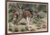 Kangaroo by Alfred Edmund Brehm-Stefano Bianchetti-Framed Giclee Print