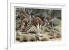 Kangaroo by Alfred Edmund Brehm-Stefano Bianchetti-Framed Giclee Print