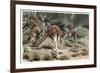 Kangaroo by Alfred Edmund Brehm-Stefano Bianchetti-Framed Giclee Print