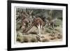 Kangaroo by Alfred Edmund Brehm-Stefano Bianchetti-Framed Giclee Print