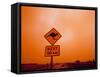 Kangaroo Crossing Road Sign, Outback Dust Storm, Rural Highway, Ivanhoe, New South Wales, Australia-Paul Souders-Framed Stretched Canvas