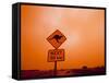 Kangaroo Crossing Road Sign, Outback Dust Storm, Rural Highway, Ivanhoe, New South Wales, Australia-Paul Souders-Framed Stretched Canvas