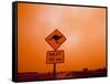 Kangaroo Crossing Road Sign, Outback Dust Storm, Rural Highway, Ivanhoe, New South Wales, Australia-Paul Souders-Framed Stretched Canvas