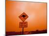 Kangaroo Crossing Road Sign, Outback Dust Storm, Rural Highway, Ivanhoe, New South Wales, Australia-Paul Souders-Mounted Photographic Print