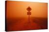 Kangaroo Crossing Sign in Dust Storm in the Australian Outback-Paul Souders-Stretched Canvas