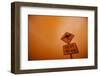 Kangaroo Crossing Sign in Dust Storm-Paul Souders-Framed Photographic Print